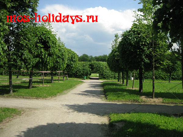 Французский парк в усадьбе Архангельское