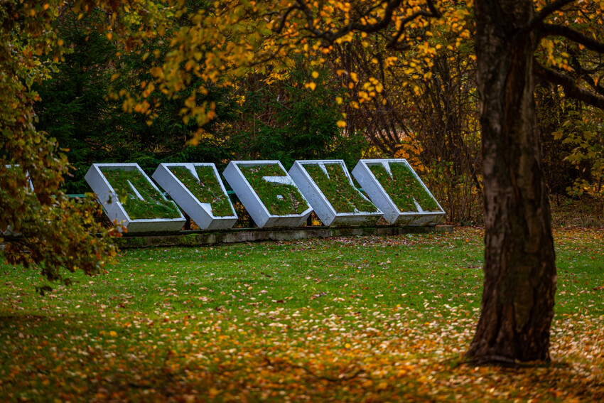 парк дубки