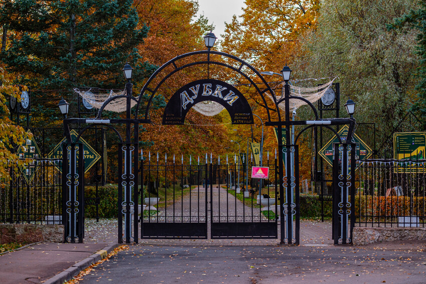 парк дубки