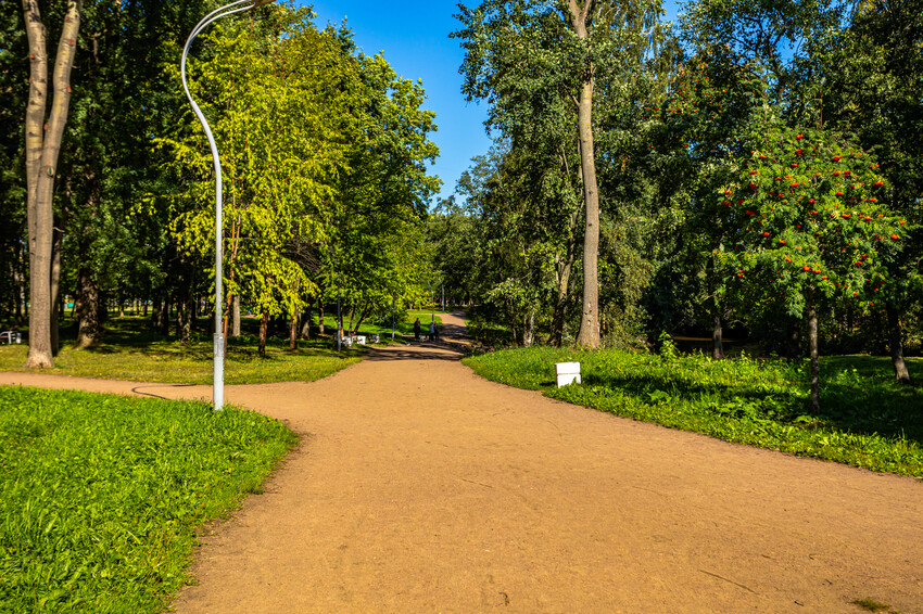 парк Есенина