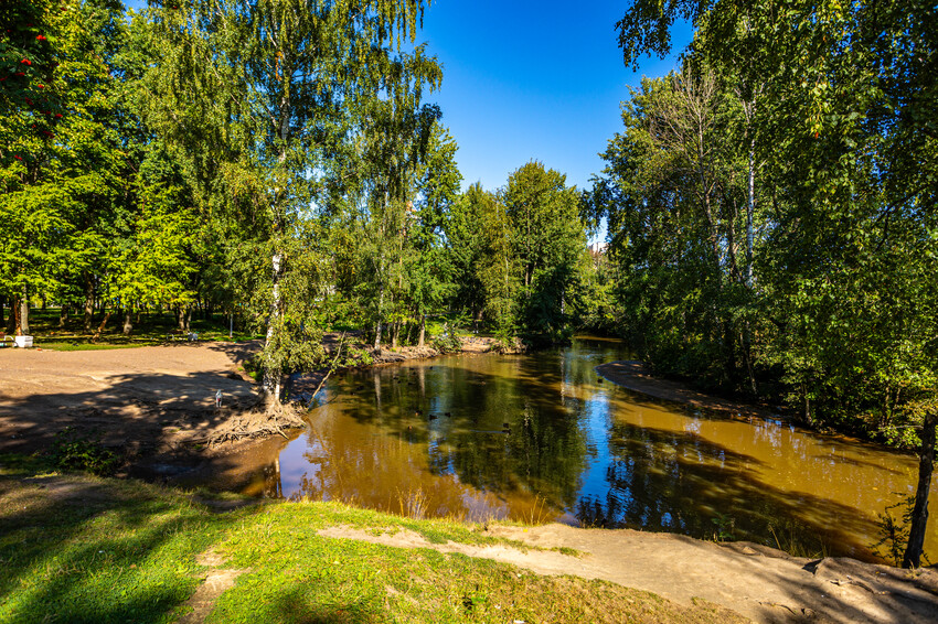 парк Есенина