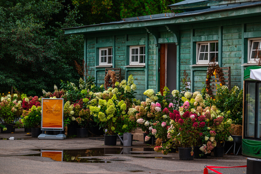 Ботанический сад