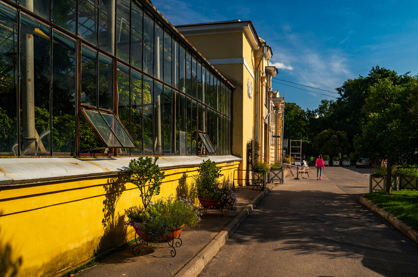 Ботанический сад