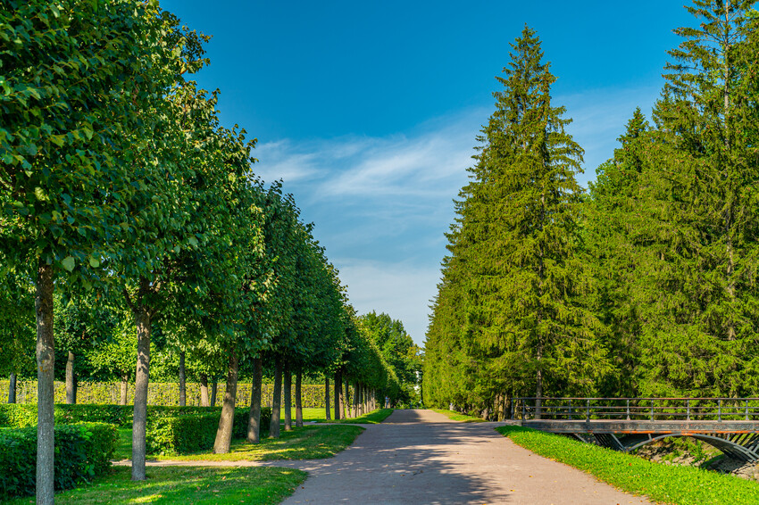 Екатерининский парк 