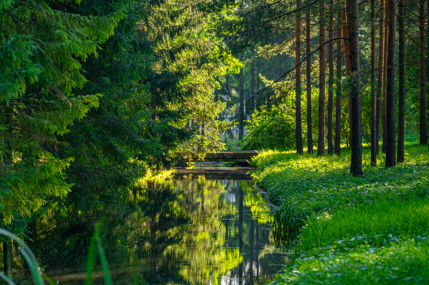Екатерининский парк 
