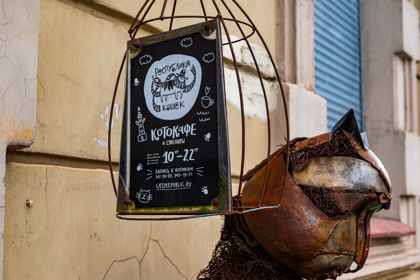 Котокафе Республика кошек, кот на входе