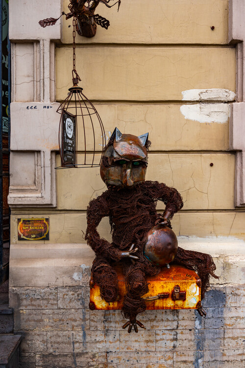 Котокафе Республика кошек, кот на входе